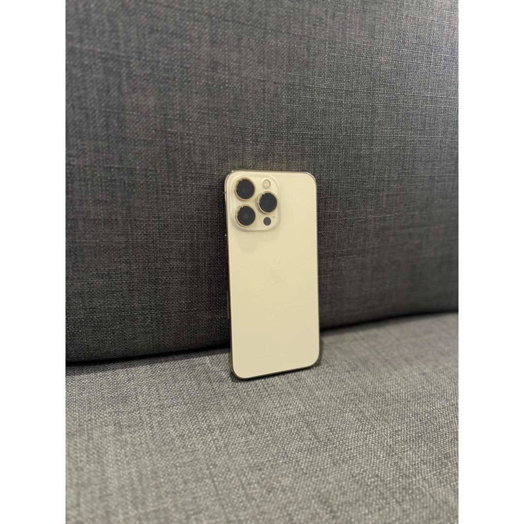 iphone-13-pro-256-gb--bateria-100-gold-137